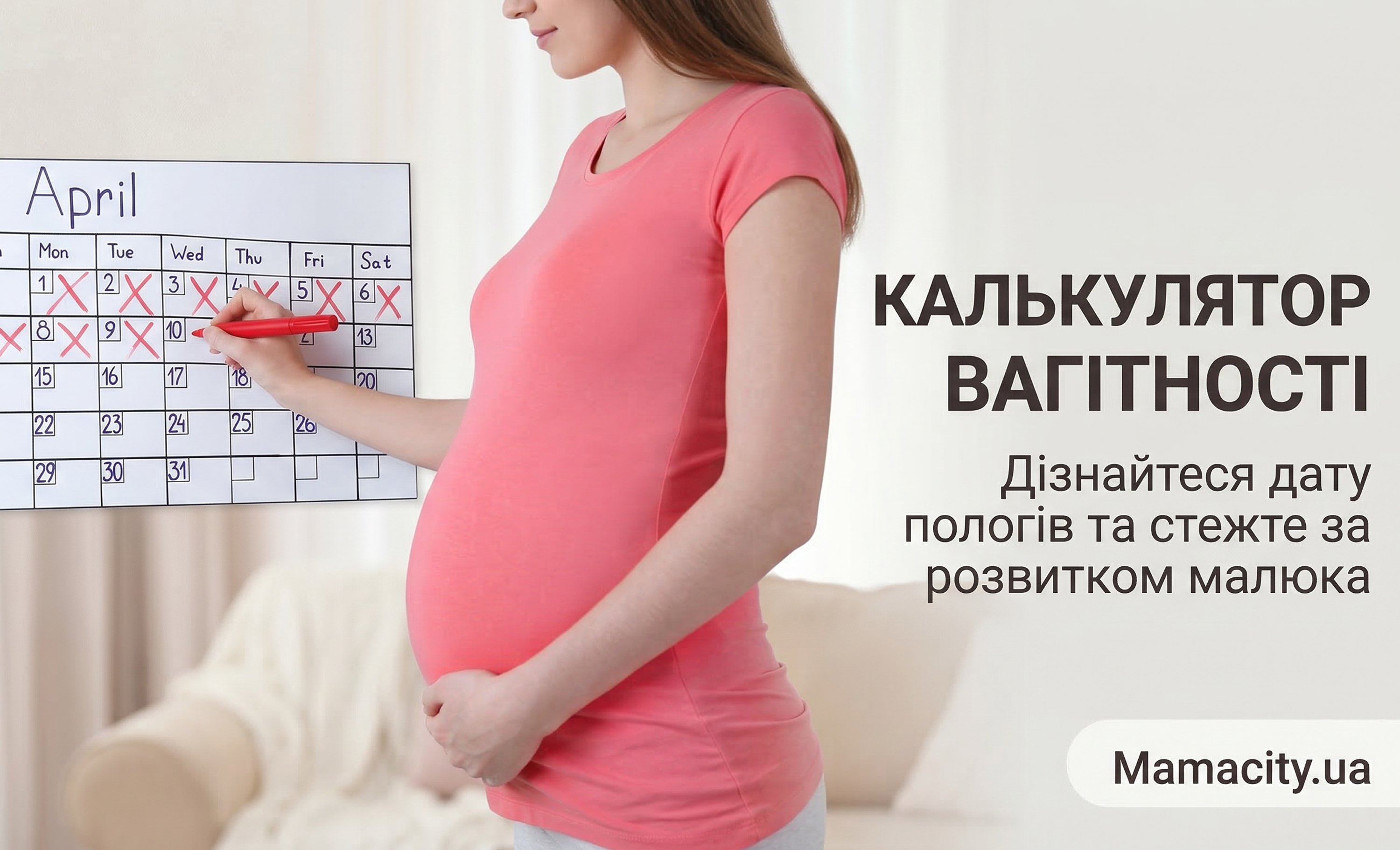 Pregnancy calendar